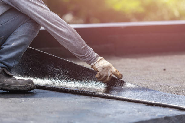 Professional Basement Waterproofing technician working in Trinity, AL